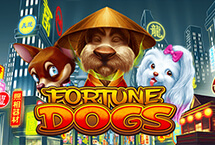 Fortune Dogs