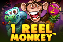 1 Reel Monkey